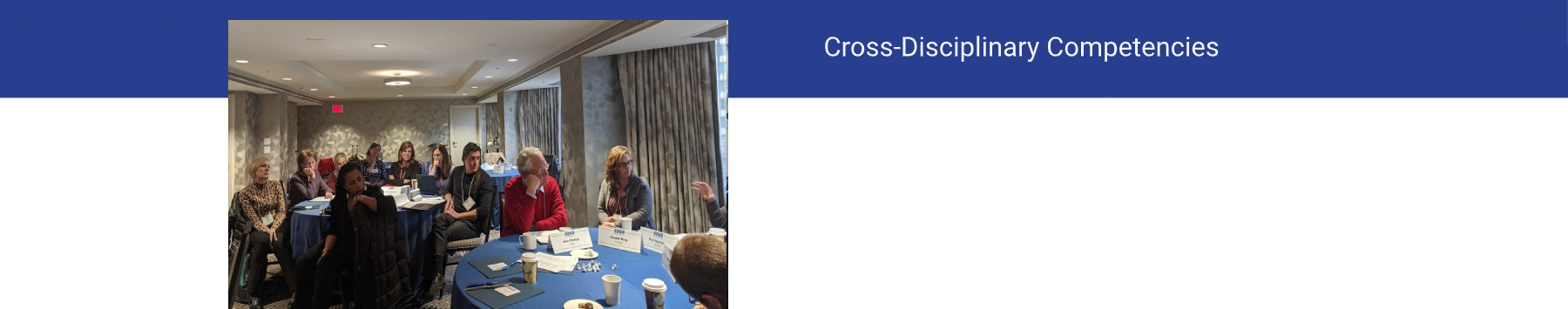 Cross-Disciplinary Competencies Alignment Header